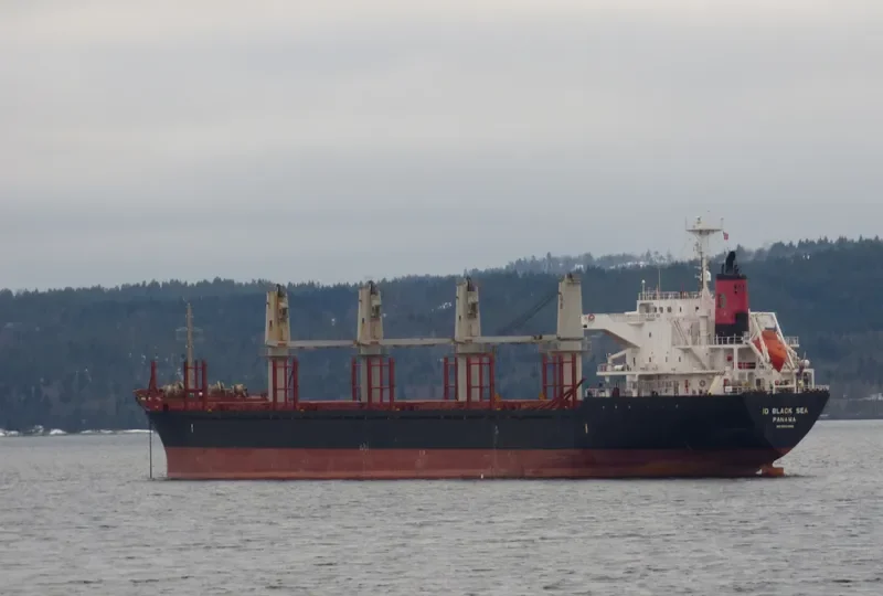 EVER BRILLIANT Bulk Carrier IMO 9520998 photo 8