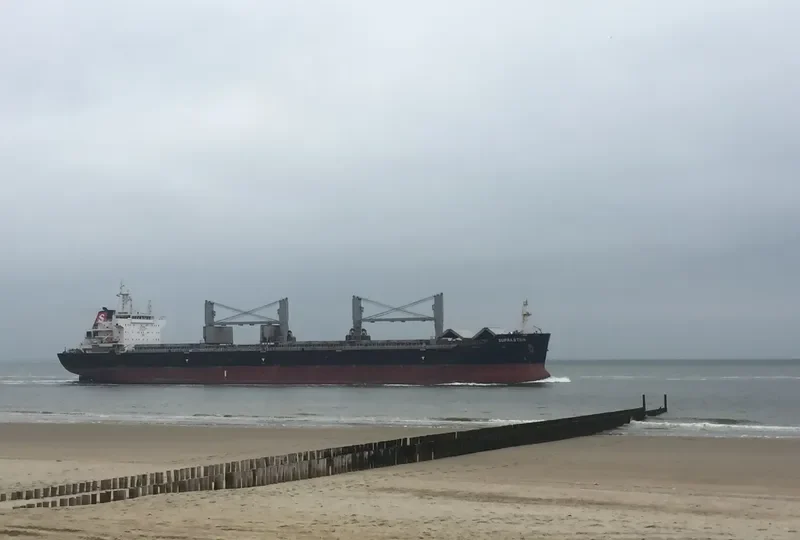 FLC CELEBRATION Bulk Carrier IMO 9521007