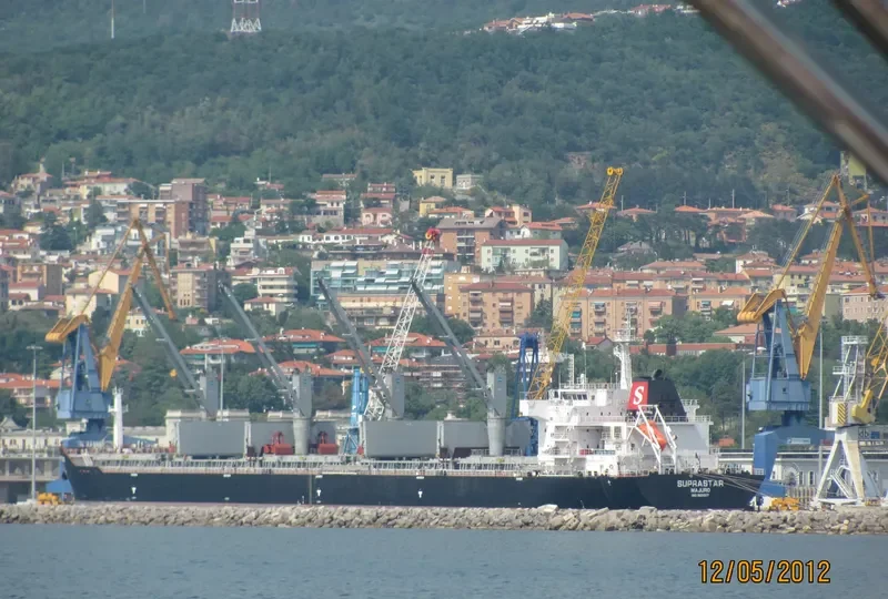 FLC CELEBRATION Bulk Carrier IMO 9521007 photo 4