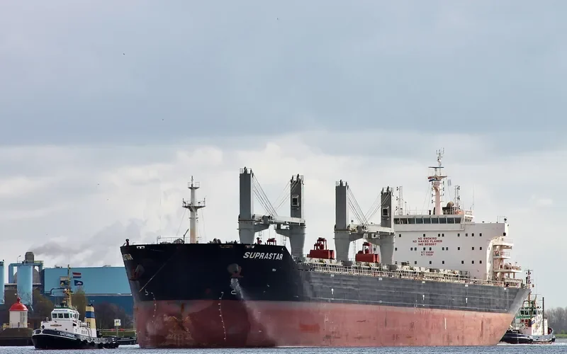 FLC CELEBRATION Bulk Carrier IMO 9521007 photo 7