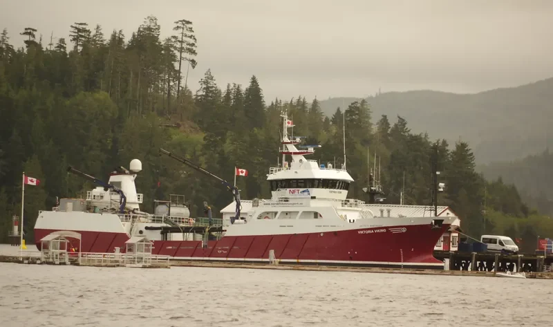 VIKTORIA VIKING General Cargo IMO 9521801 photo 2
