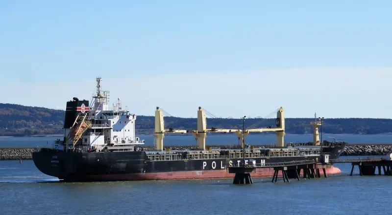 SAN Bulk Carrier IMO 9521851