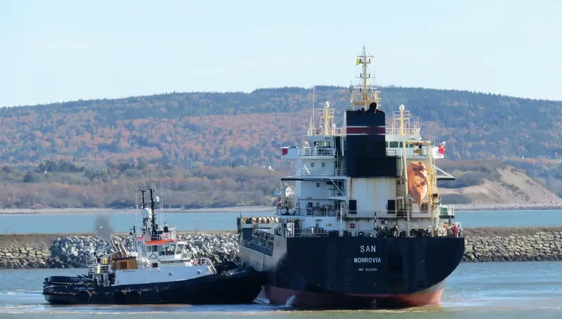 SAN Bulk Carrier IMO 9521851 photo 2
