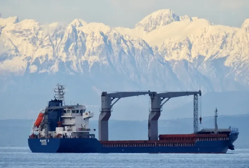 MARE I General Cargo IMO 9521887