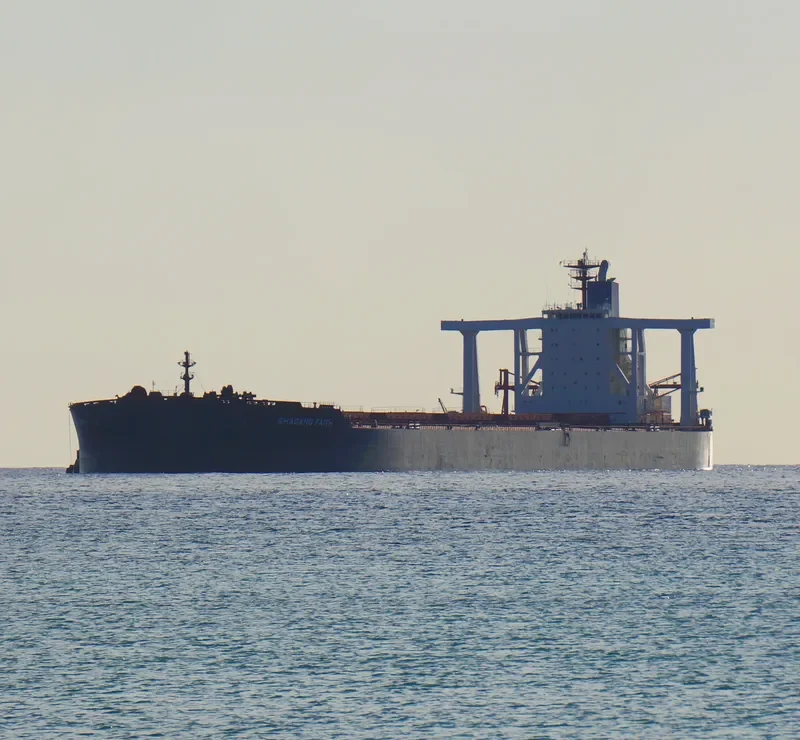SHAGANG FAITH Bulk Carrier IMO 9521980 photo 3