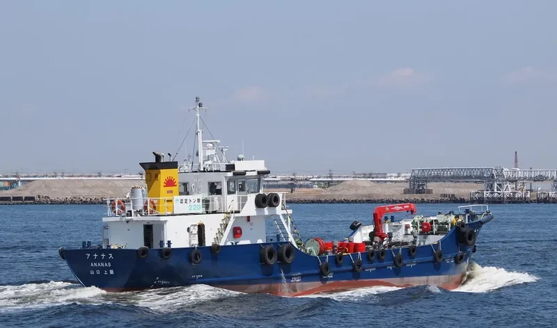 ANANAS Tanker IMO 9522465