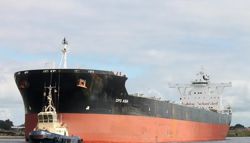 CAPTAIN J.PAPADAKIS Bulk Carrier IMO 9522635 photo 6