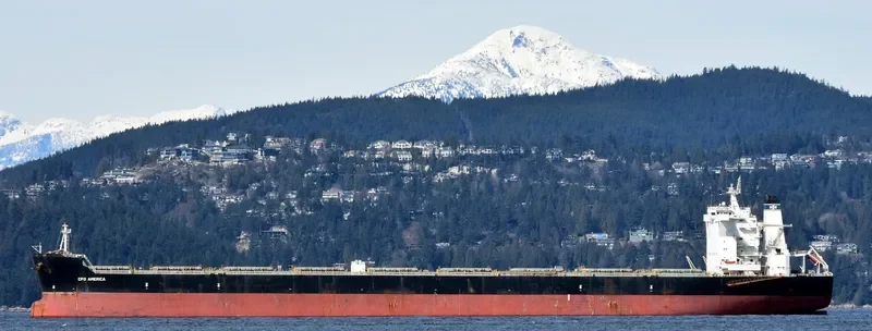 MERCHANT MARINER Bulk Carrier IMO 9522647 photo 8