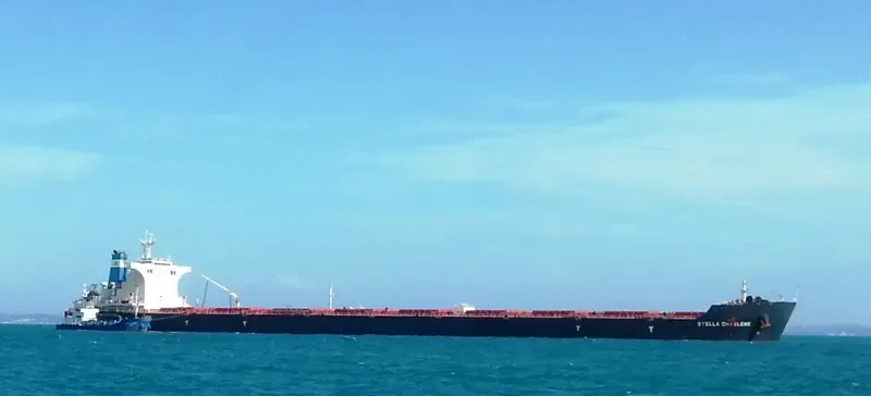 PACIFIC EAST Bulk Carrier IMO 9522661