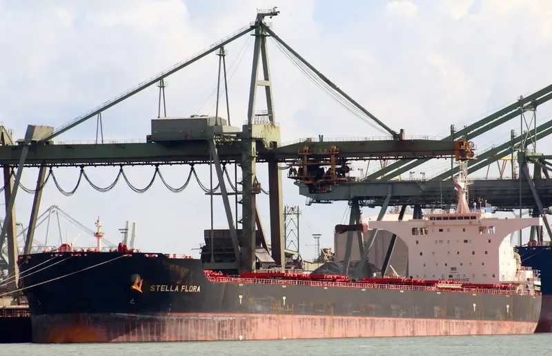 STELLA FLORA Bulk Carrier IMO 9522673