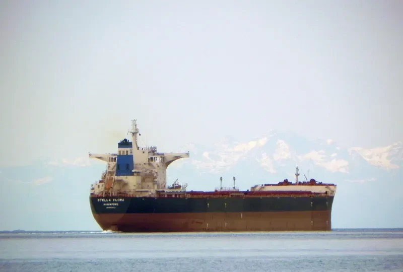 STELLA FLORA Bulk Carrier IMO 9522673 photo 2