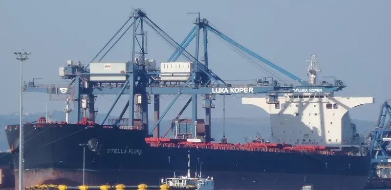 STELLA FLORA Bulk Carrier IMO 9522673 photo 4