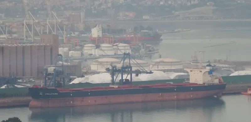 STELLA FLORA Bulk Carrier IMO 9522673 photo 5