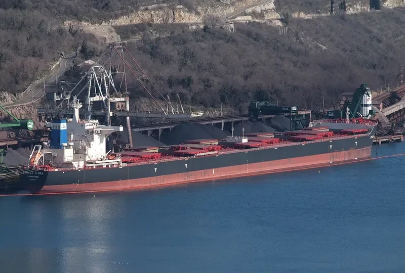 STELLA FLORA Bulk Carrier IMO 9522673 photo 7