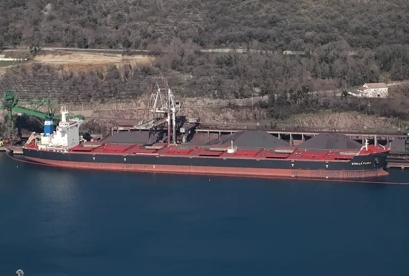 STELLA FLORA Bulk Carrier IMO 9522673 photo 8