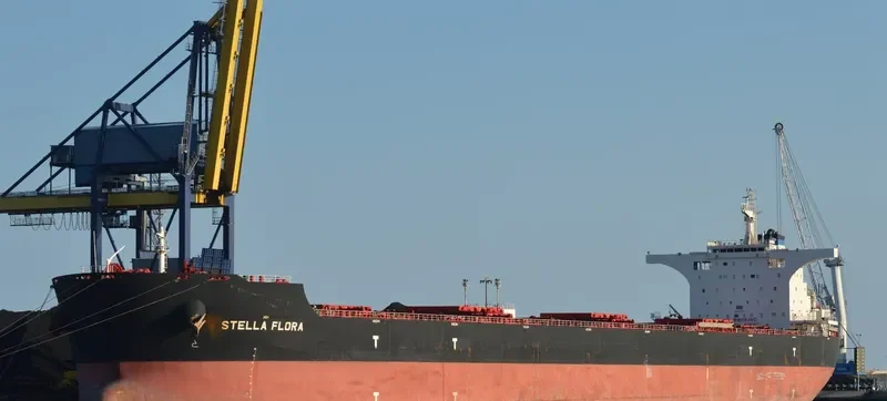 STELLA FLORA Bulk Carrier IMO 9522673 photo 10