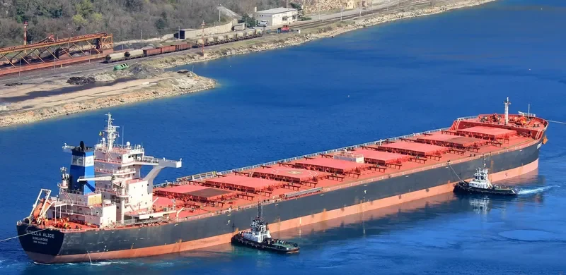 STELLA ALICE Bulk Carrier IMO 9522697 photo 4
