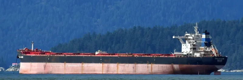 STELLA ALICE Bulk Carrier IMO 9522697 photo 8