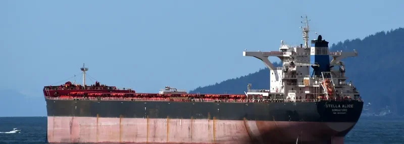 STELLA ALICE Bulk Carrier IMO 9522697 photo 9