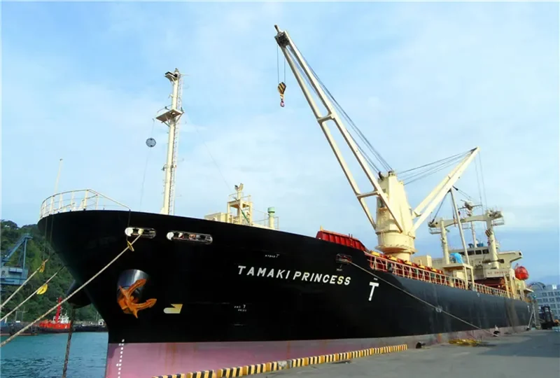 TAMAKI PRINCESS General Cargo IMO 9522831 photo 3