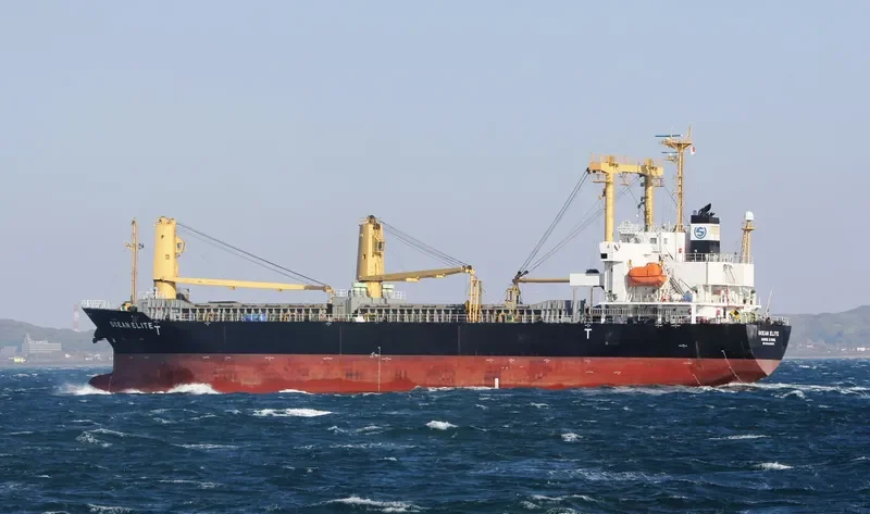 SHINSUNG BRIGHT General Cargo IMO 9522855 photo 3