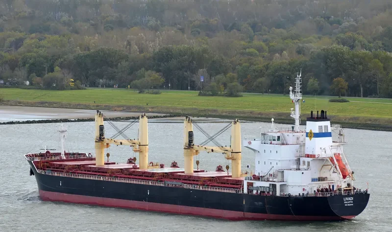 LIVADI Bulk Carrier IMO 9522946 photo 3