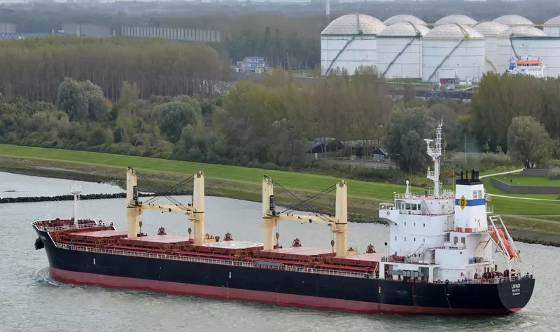 LIVADI Bulk Carrier IMO 9522946 photo 4
