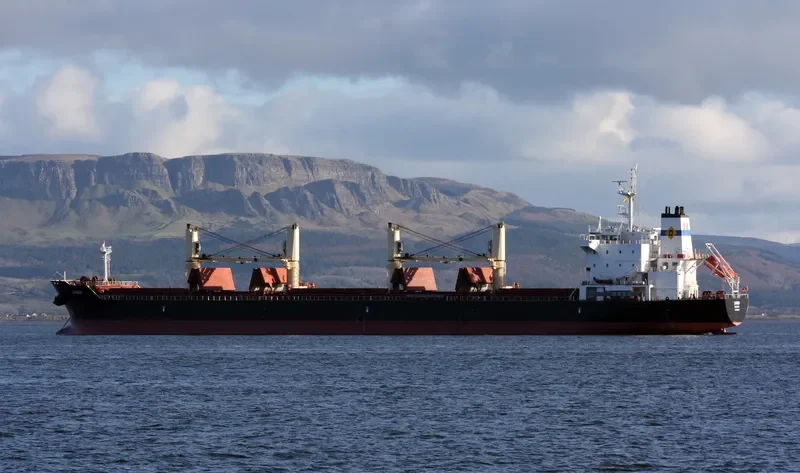 LIVADI Bulk Carrier IMO 9522946 photo 5