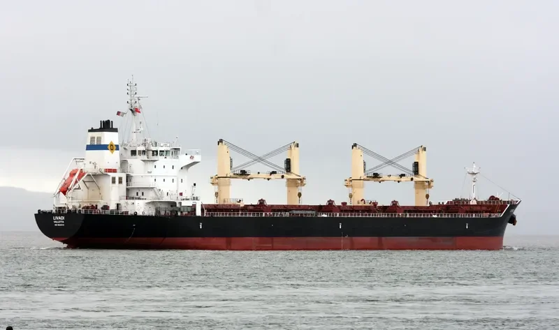 LIVADI Bulk Carrier IMO 9522946 photo 6