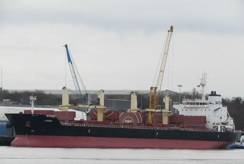 LIVADI Bulk Carrier IMO 9522946 photo 9