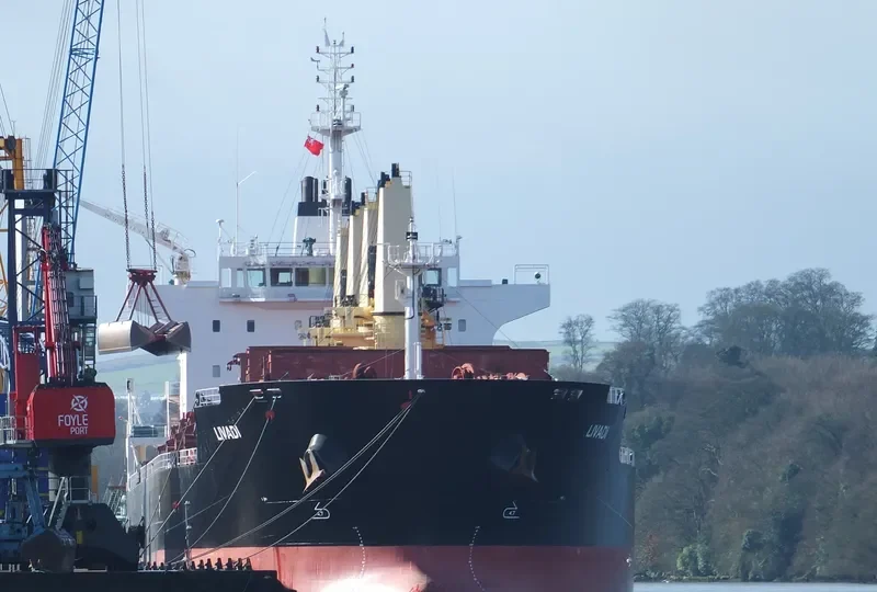 LIVADI Bulk Carrier IMO 9522946 photo 10