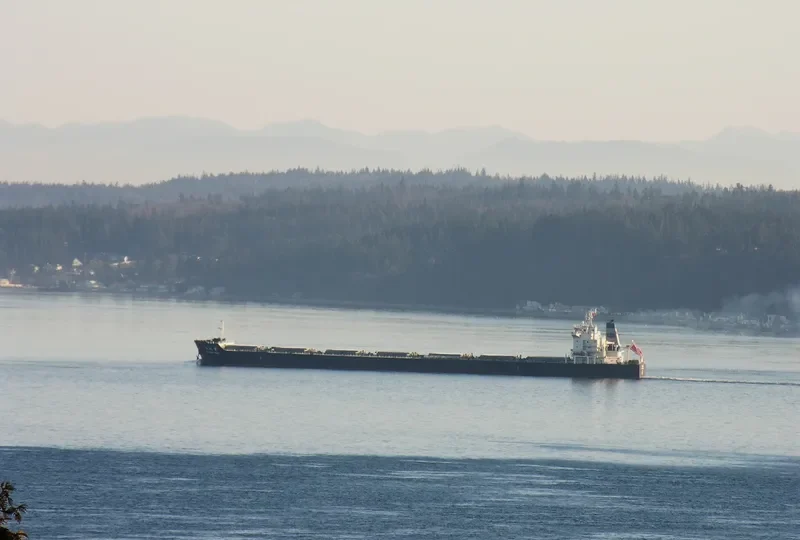 RI GUAN FENG Bulk Carrier IMO 9523146 photo 3