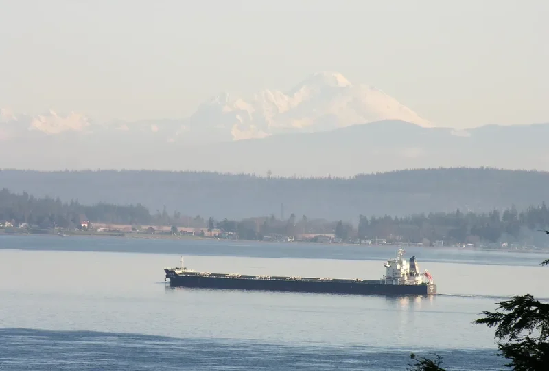 RI GUAN FENG Bulk Carrier IMO 9523146 photo 4