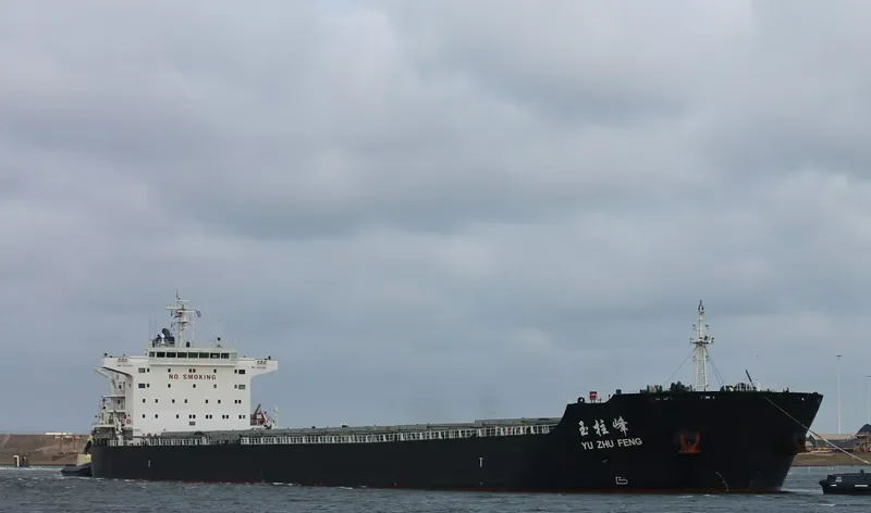 YU ZHU FENG Bulk Carrier IMO 9523160 photo 8