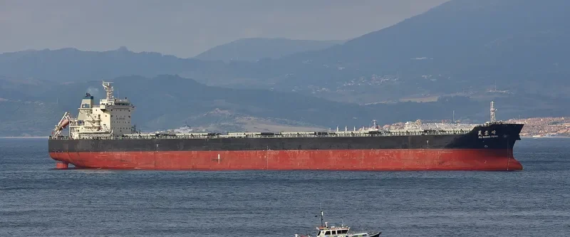 FU RONG FENG Bulk Carrier IMO 9523184 photo 3