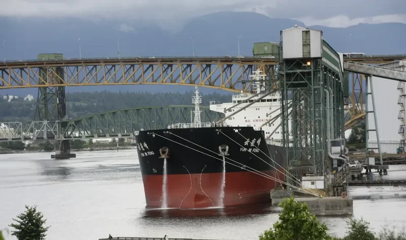 YUN MI FENG Bulk Carrier IMO 9523196 photo 6