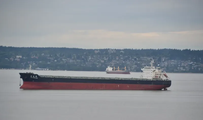 YUN LONG FENG Bulk Carrier IMO 9523201 photo 5