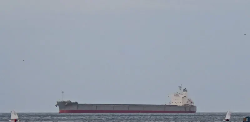 STAR AMETHYST Bulk Carrier IMO 9523251 photo 6