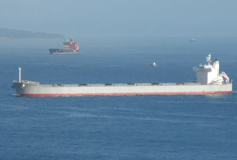 STAR AMETHYST Bulk Carrier IMO 9523251 photo 9