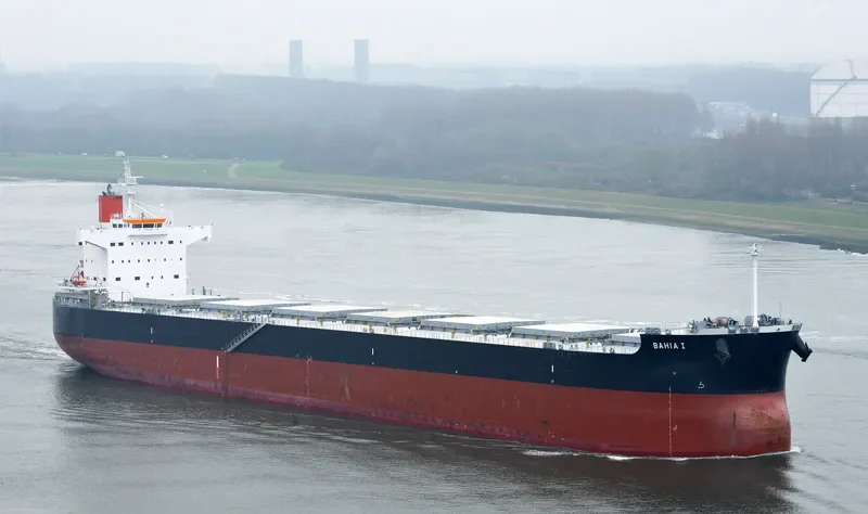 JUNE LOONG Bulk Carrier IMO 9523299
