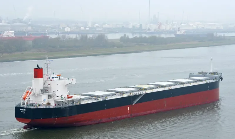 JUNE LOONG Bulk Carrier IMO 9523299 photo 2