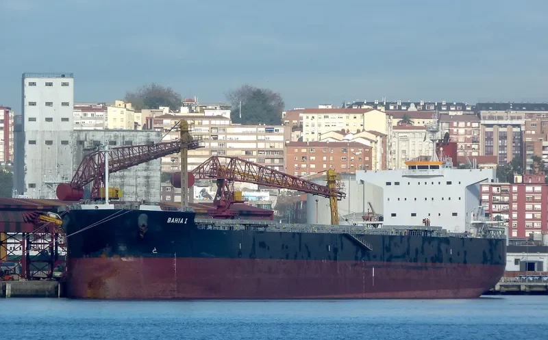 JUNE LOONG Bulk Carrier IMO 9523299 photo 5