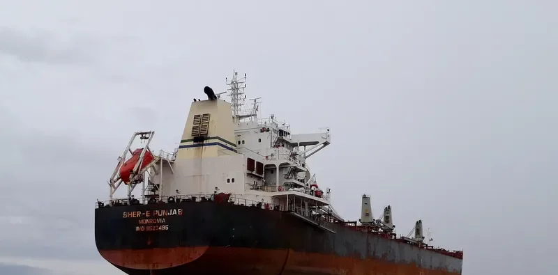 MARVEL I Bulk Carrier IMO 9523495 photo 8