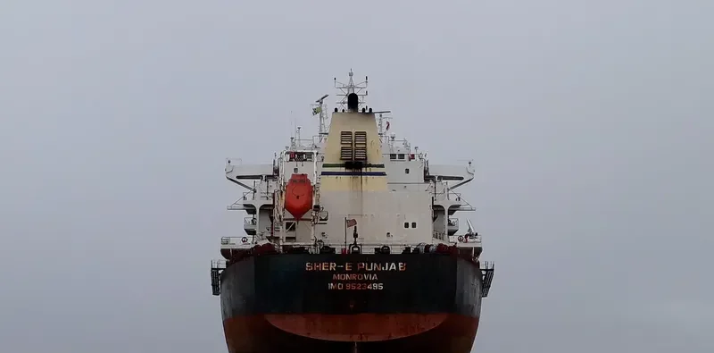 MARVEL I Bulk Carrier IMO 9523495 photo 9
