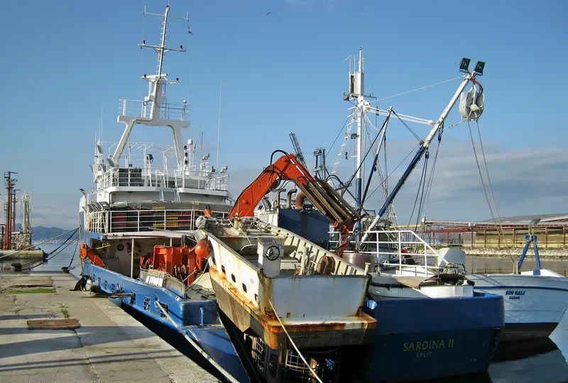 SARDINA II General Cargo IMO 9523524 photo 4