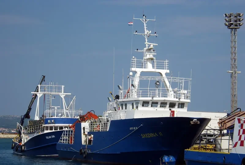 SARDINA II General Cargo IMO 9523524 photo 6