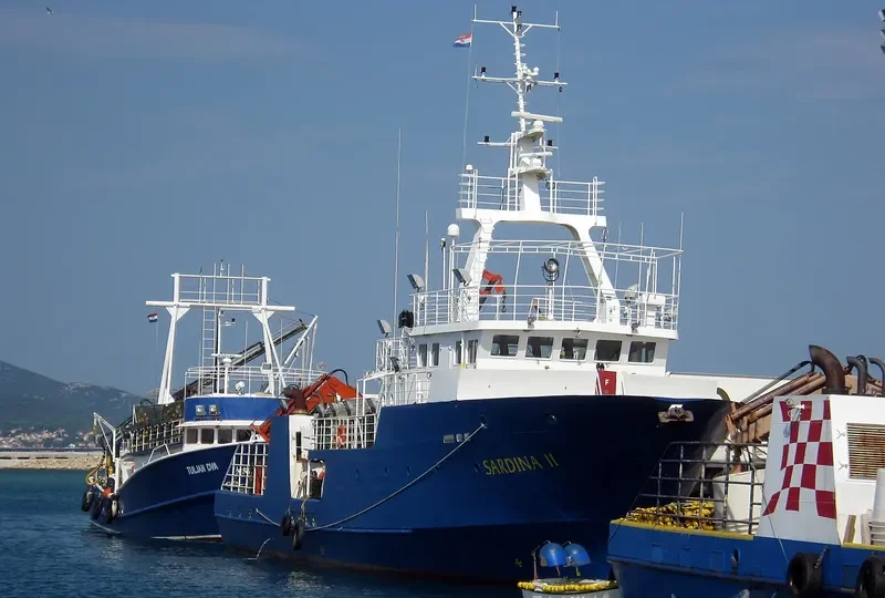SARDINA II General Cargo IMO 9523524 photo 10