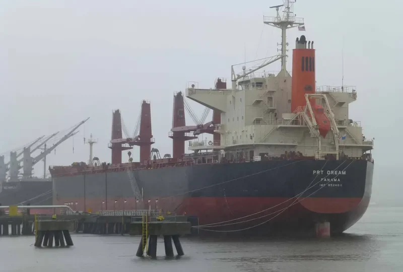 PRT DREAM Bulk Carrier IMO 9524011 photo 4