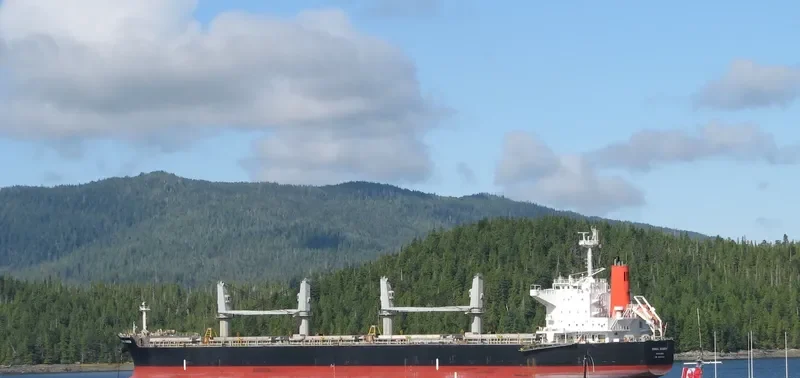 CORAL QUEEN Bulk Carrier IMO 9524023