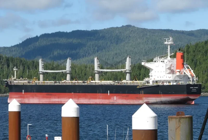 CORAL QUEEN Bulk Carrier IMO 9524023 photo 2